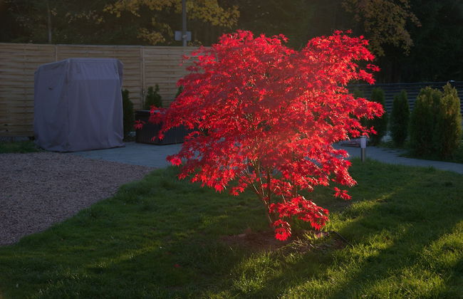 Ferienwohnungen Haus Zeier - Foto 33