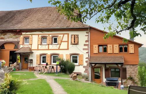 Maison pittoresque à Sainte-Croix-aux-Mines, vue sur la montagne - Foto 1