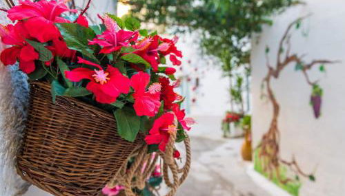 La Nghioscia - Foto 4