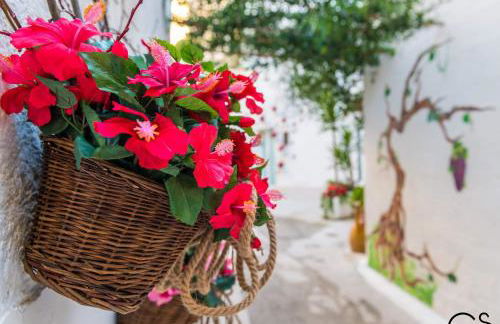 La Nghioscia - Foto 4