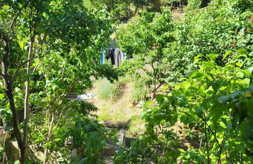 Maison au cœur du Verdon 2 chambres et terrasse - Foto 20