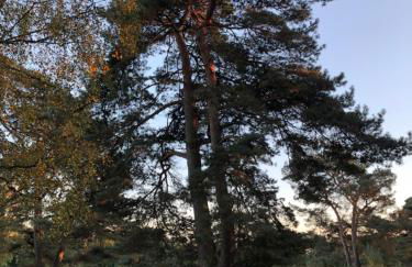 Haus Haddorfer See "Hus vi d Sjön" - Foto 29