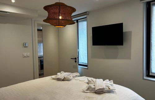 LILLEHOSTS 2, Vieux Lille, Newly renovated, Modern & Stylish apartment, perfectly located - Foto 25