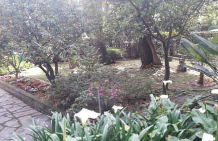 Villa Elena - Photo 8