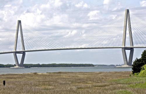 Green Whale - Photo 27