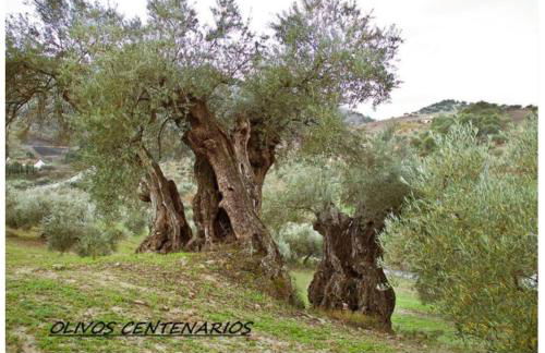 Villa Montiel - Foto 22