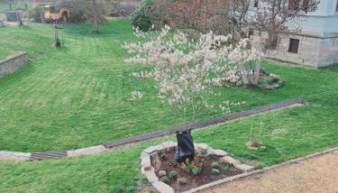 Villa Lebensgrund - Foto 2, Garden, Garden view