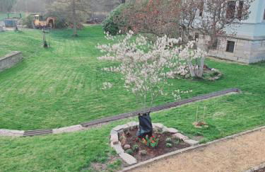 Villa Lebensgrund - Foto 2