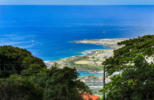 Orchid Hale - Foto 55