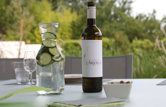 Luxurious Villa in Saint Genies de Fontedit With Heated Pool - Foto 75