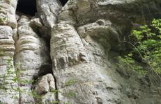 Ferienwohnung am Pferdemarkt - Foto 79