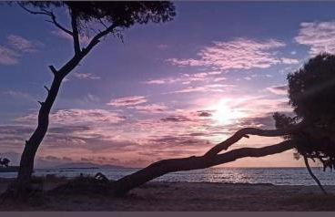 Accessible Luxury - Foto 64