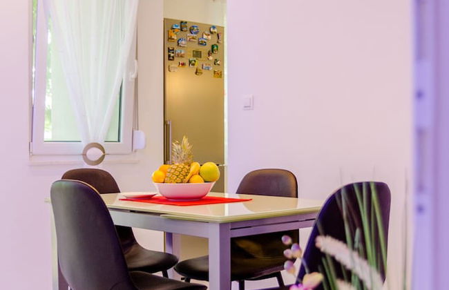 Studio Luce Mala - Photo 16