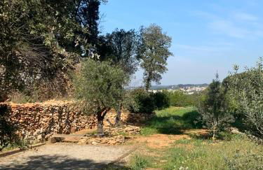 La Farigoule - Sainte-Victoire - Vue exceptionnelle sur Aix-en-Provence - Foto 18