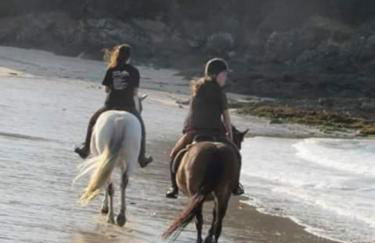 le perchoir à côté de la mer ,spa - Foto 28