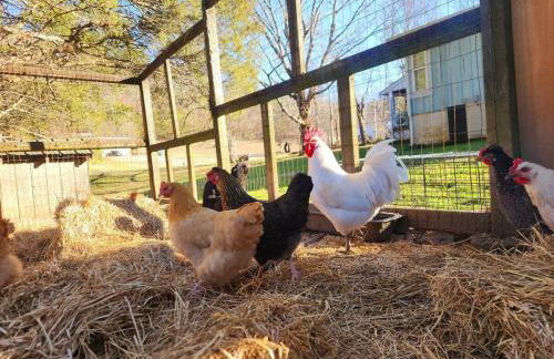 1921 Chattanooga Valley The Little Blue Farmhouse - Foto 60