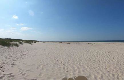 Słowińskie Widoki domki Flora, Fauna, noclegi Smołdziński Las - Foto 39