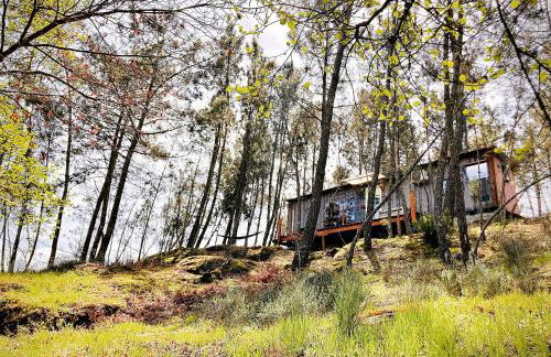 Relax Container - Foto 40