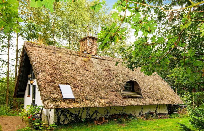 2 Person Holiday Home in Ejstrupholm-by Traum - Foto 24