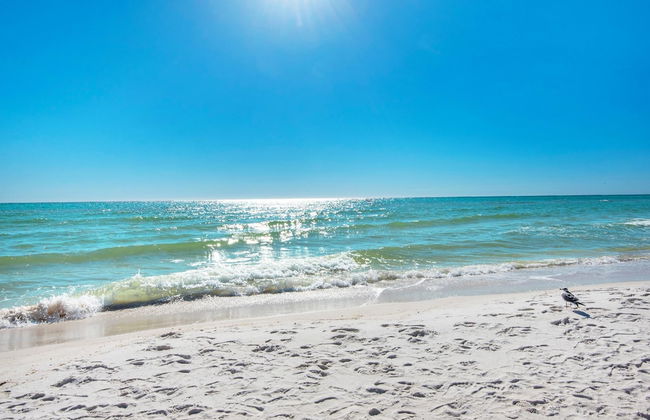 Shores of Panama 2112 - Foto 65