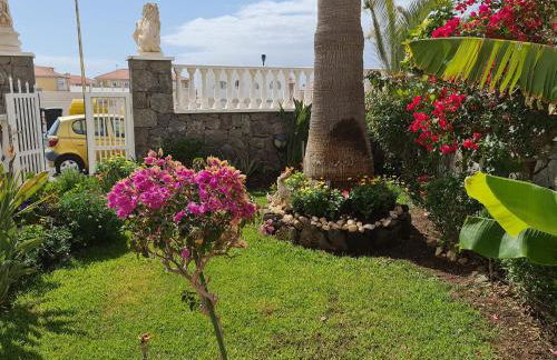 Apartamentos Los Delfines - Foto 69