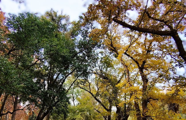 Plaza Independencia Mendoza Sol y Nieve - Foto 30