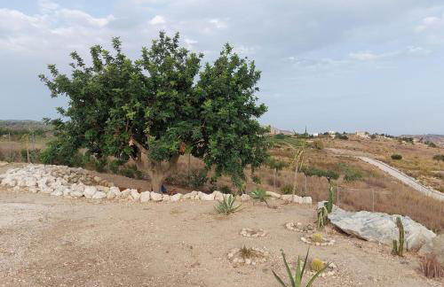 Casa Palombara - Healiday in Torre Salsa - Foto 69