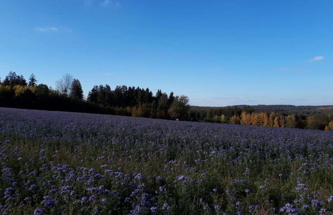 Apartment With Views of the Ore Mountains - Foto 21