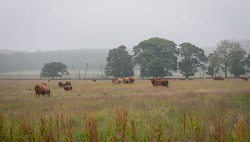 Park Farm House Chatsworth Estate - Foto 4