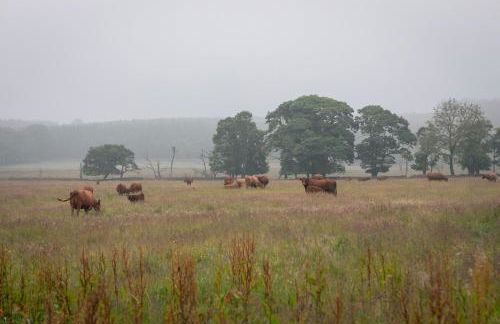 Park Farm House Chatsworth Estate - Foto 4