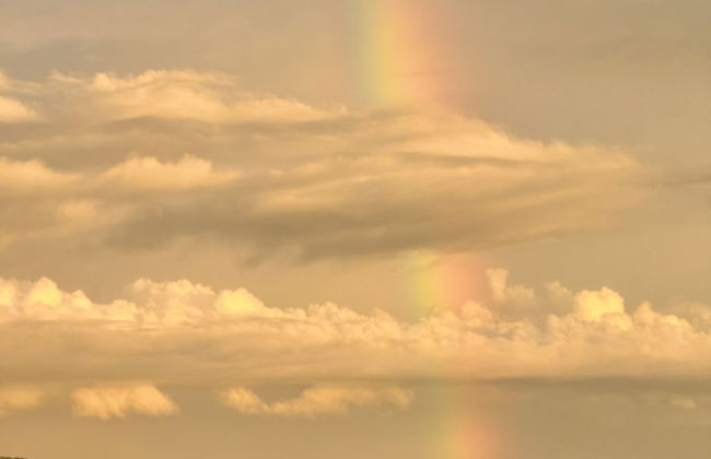 Esterillos Lote 6 Bedroom Home - Foto 55