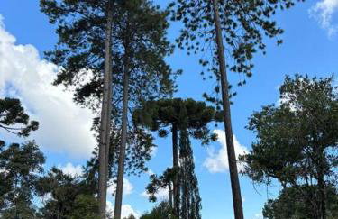 Charme e conforto na Montanha - Condomínio no Morro do Elefante, próximo ao centro - Foto 47