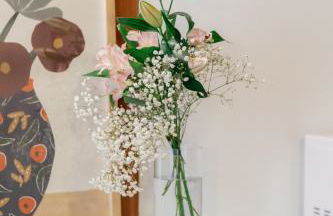 El Molí Nou - Rural flats - Foto 77