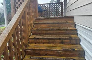 Secluded Forest Cabin Retreat Near Olympic Peninsula Coast | Near Sekiu, Washington - Foto 23