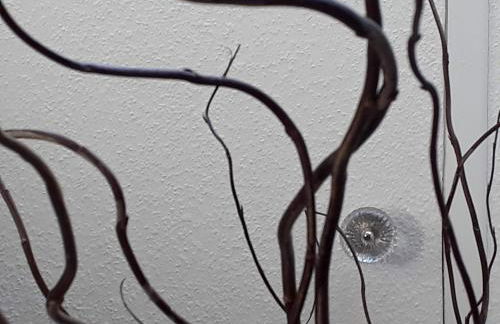 Weissewolke - Foto 4