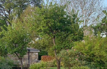 Sunset View one bedroom luxury cottage in an idyllic setting - Foto 28