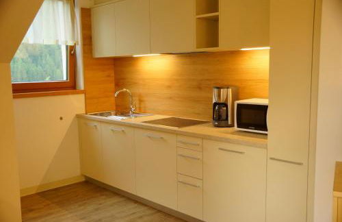 PLAN DE CORONES apartments - Foto 37