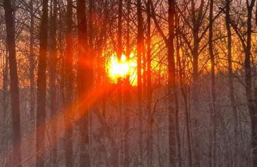 Turkey Creek Cabin Rentals #2 at Tims Ford lake - Foto 22