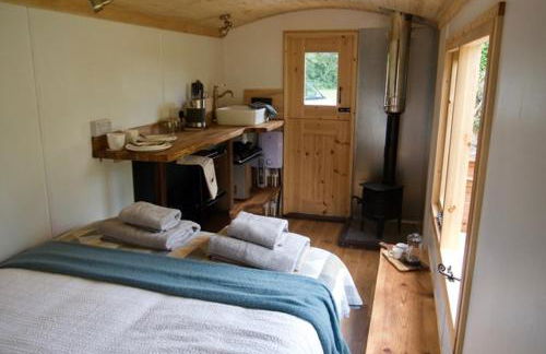 Little Dolwen - Sioned - Photo 28