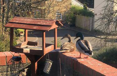 Kingfisher House - Sandwich - Foto 61