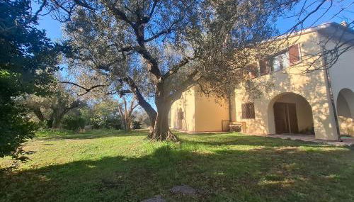 Il Casale di Dorothea - Foto 4, Garden, Garden view