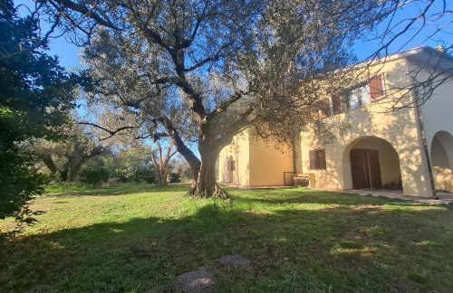 Il Casale di Dorothea - Foto 4