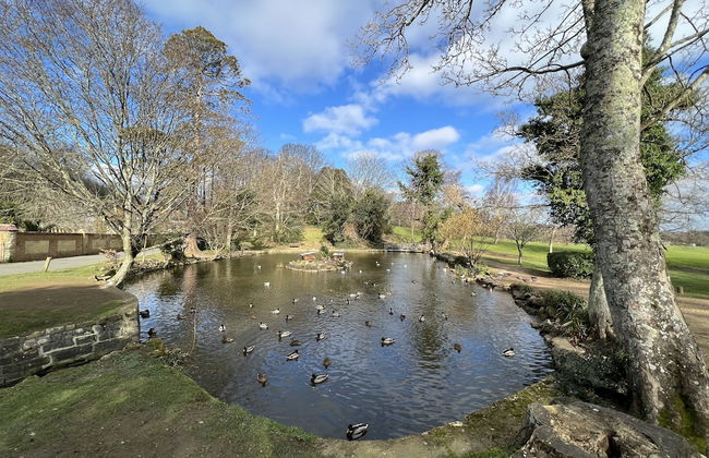 Mole Cottage - Foto 23