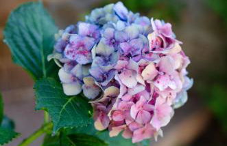 Casa do Compasso - Foto 38