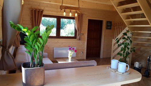 Domki całoroczne z kominkiem - SKAŁA i GŁAZ - Foto 5