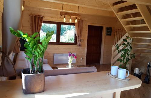 Domki całoroczne z kominkiem - SKAŁA i GŁAZ - Foto 5