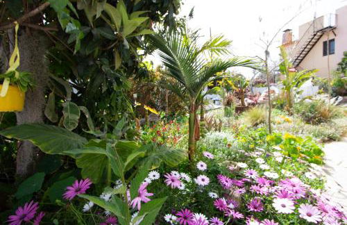 Tropical Oasis Costa Dorada with private pool - Foto 40