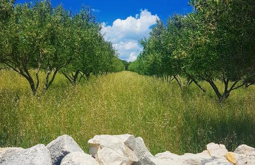 Apartments Silver - Photo 55