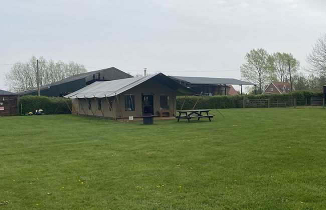 Dawn Chorus Holidays - Foto 69