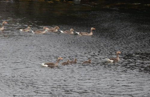 The Causeway - Foto 28